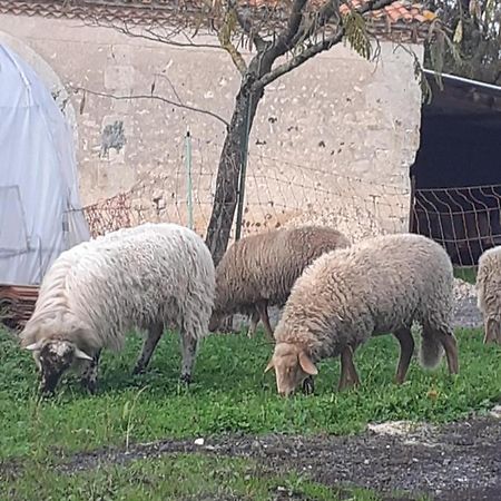 Maison de campagne à la ferme Pillac Extérieur photo