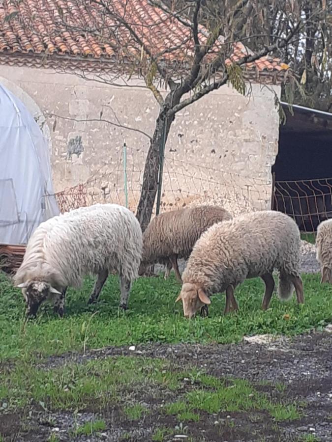 Maison de campagne à la ferme Pillac Extérieur photo
